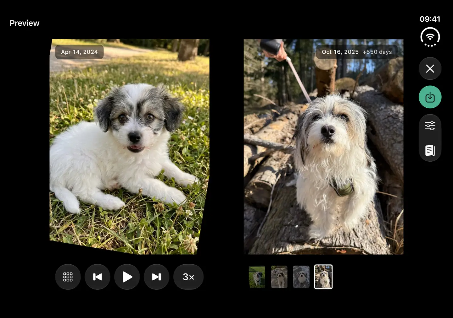 An open iPhone Duo shows a dog's puppy photo on the left and a later photo with flipbook controls on the right.