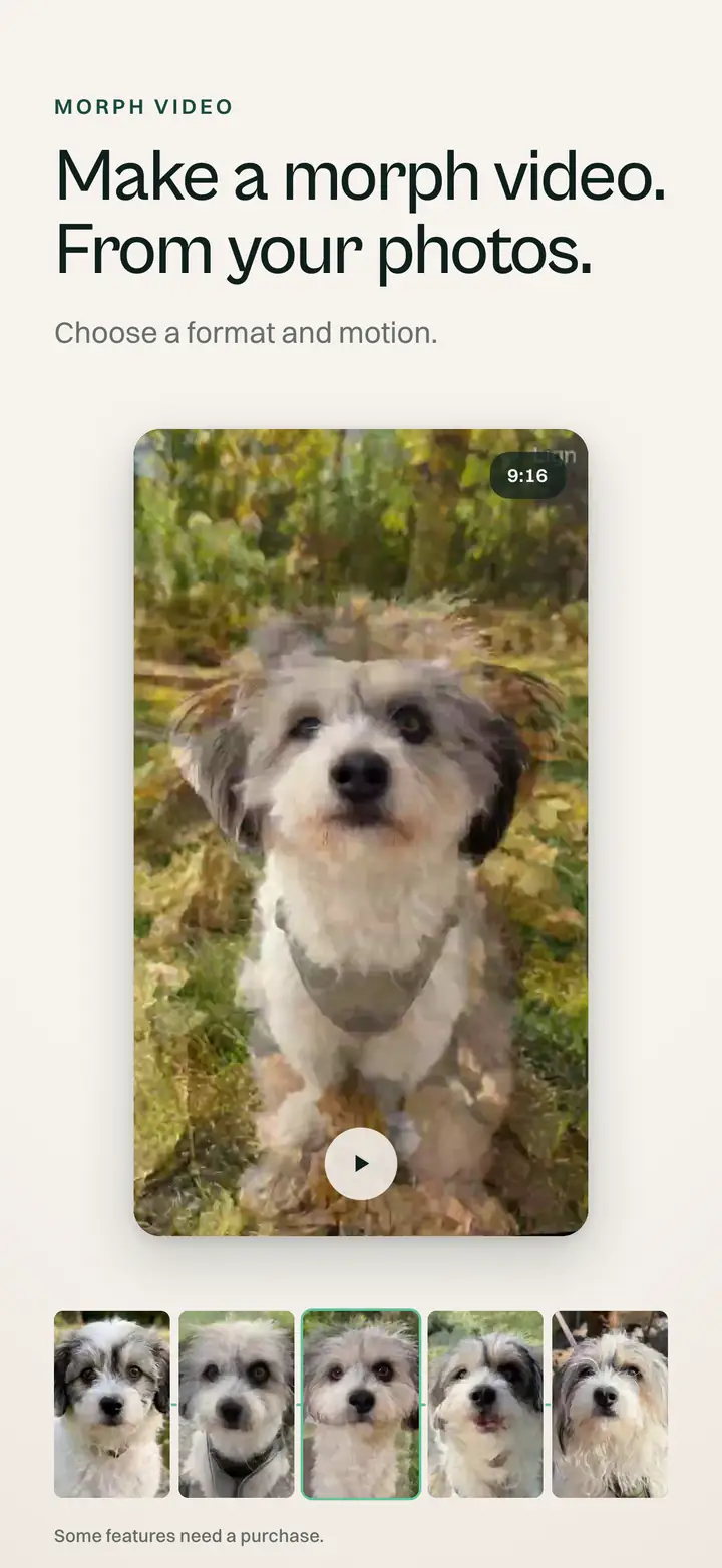 Make a morph video. From your photos.